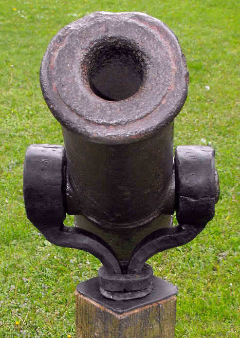 SWIVEL CANNON YOKE