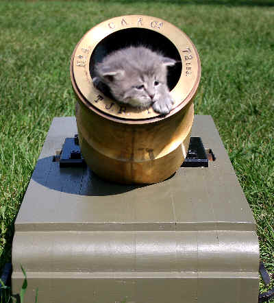 [Image: mortar%20kitty.jpg]